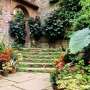 Tips Membuat Taman Rumah yang Ramah Lingkungan