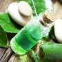 Ini Manfaat Tea Tree Oil di Rumah
