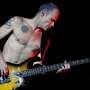 Bassist Red Hot Chili Peppers Anggap Musik Rock Sudah Mati