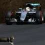 Hamilton Tercepat di FP3, Rio 3,2 Detik Lebih Lambat