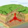 Gempa 5,7 SR Guncang Mataram
