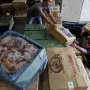 Operasi Pasar Importir Daging Sapi