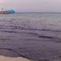 Laut Indonesia Rusak, Stok Pangan Dunia Terancam