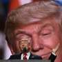 Kelompok Ini 'Hadiahkan' Foto Bugil pada Pemilih Donald Trump