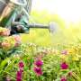 Hal Dasar yang Perlu Diperhatikan Saat Berkebun di Rumah