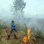 Kebakaran Hutan Riau Bertambah, BNPB Tambah Helikopter Pembom Air