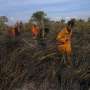 20 Hektar Lahan Terbakar di Teluk Meranti