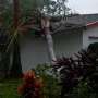 Kota-kota Hantu Muncul di Florida Usai Topan Matthew Melanda
