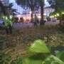 Sedihnya Tukang Taman, Demo Ormas Islam Kok Rusak Taman