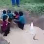 VIDEO: Parah, Siswa SD Disuruh Masuk Kubangan dan Dilempar Ular