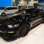 Saluran Minyak Bocor, Ribuan Shelby GT350 Mustang Ditarik