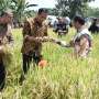 Jokowi Didesak Revisi UU Ekonomi yang Tak Sesuai Dengan UUD 1945