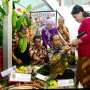 Presiden Jokowi Berharap Produksi Buah Tahun Ini Naik