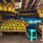 Musim Durian Tiba, Awas Diincar Risiko Ini!