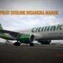 Heboh! Pilot Citilink Disangka Mabuk Sebelum Take Off
