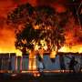 90 Rumah Terbakar di Mangga Dua