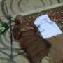 Heboh! Imam Salat Jumat di Samarinda Meninggal saat Pimpin Salat