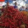 Mendag: Harga Cabe Rawit Merah Besar Turun 13,33 Persen