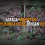 Astaga! Monyet Ini Berhubungan Seks dengan Rusa