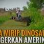 Buaya Besar Mirip Dinosaurus Gegerkan Dunia