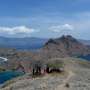 Labuan Bajo, Sumba, dan Malang Terpopuler di Mesin Pencari Google