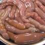 Diklaim Punya Rasa Lezat, Ini 4 Fakta Unik Ikan Penis yang Sempat Heboh