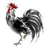 Peruntungan Shio Hari Ini, Jumat 9 Desember 2022: Shio Ayam Harus Buat Batasan untuk Lindungi Diri