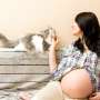 Risikonya Bila Pelihara Kucing saat Hamil