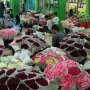 Yuk, Berburu Bunga Murah untuk Valentine!