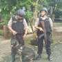 Polisi Dilengkapi Anjing Jaga TPS Tempat AHY 'Nyoblos'