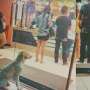 Kisah Anjing Kelaparan di Depan Resto Ini Bikin Hati Netizen Pilu