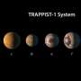 Astronom Sebut Mestinya Ada Tujuh Planet Layak Huni di Tata Surya