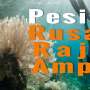 Astaga! Kapal Pesiar Inggris 'Rusak' Raja Ampat