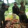 Mengenang Ahmad Taufik, Salah Satu Jurnalis Pendiri AJI