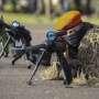 Peringatan ke-71 Hari TNI AU