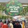 Ada Wisata Reptil di Sini, Pengunjung Bisa Memegangnya Lho!