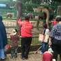 Libur Panjang, Pengunjung Serbu Ragunan