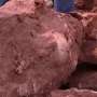 Fosil Telur Dinosaurus Berusia 70 Tahun Ditemukan di Cina