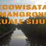 Hutan Mangrove Kuale, Destinasi Wajib buat Traveler!