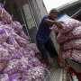 Indonesia Siap Nikmati Panen Bawang Putih dari 700 Ha Lahan di Jawa Tengah