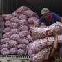 Bawang Putih Mahal, Bulog Serang Mulai Intervensi Turunkan Harga