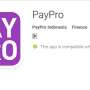 Baru Meluncur, PayPro Berambisi Akuisisi 7 Juta Pengguna