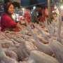 Jelang Ramadhan, Harga Ayam Potong di Pekanbaru Capai Rp 35 Ribu per Kg