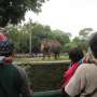 Ayo Daftar, DKI akan Gelar Sayembara Desain Revitalisasi Ragunan