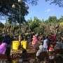 Obama Piknik ke Yogya, Jokowi Liburan ke Ragunan Siang Ini