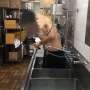 Heboh! Karyawan McD Mandi di Bak Cuci Piring