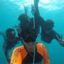Mereka Menikmati 'Surga' Bawah Laut dengan Menahan Napas