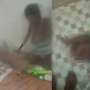 Videonya Viral, Polda Bali Tangkap Ibu Penganiaya Bayi 11 Bulan
