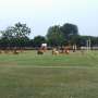 Skuat Persija Latihan Terpisah Jelang Lawan Madura, Kenapa?