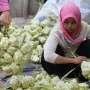 Penjualan Ketupat Idul Adha